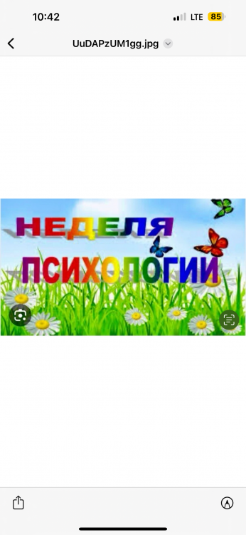 img (1)